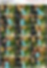 85460258_[14y]_rosmeri___baila_baila.m.jpg